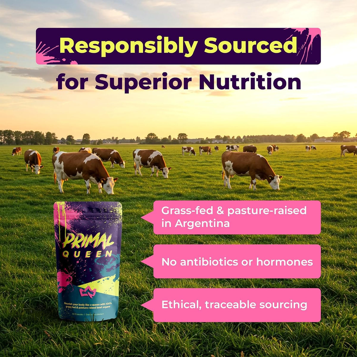 Primal Queen Grass Fed Beef Organ Supplement for Women