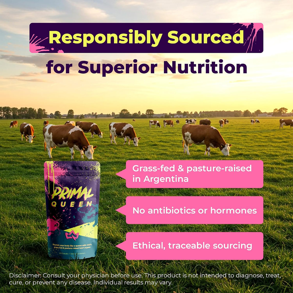 Primal Queen Grass Fed Beef Organ Supplement for Women