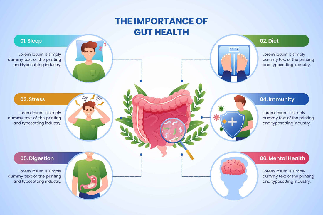 DIGESTIVE HEALTH AND GUT WELLNESS: WHY IT MATTERS MORE THAN EVER - VitaBuy