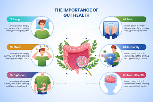 DIGESTIVE HEALTH AND GUT WELLNESS: WHY IT MATTERS MORE THAN EVER - VitaBuy