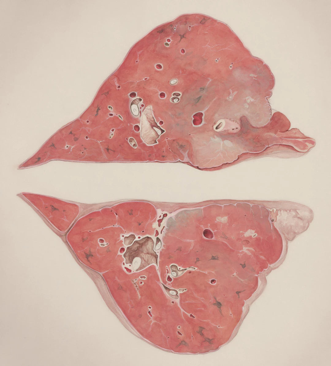 Unlocking Gut Health The Liver's Crucial Role