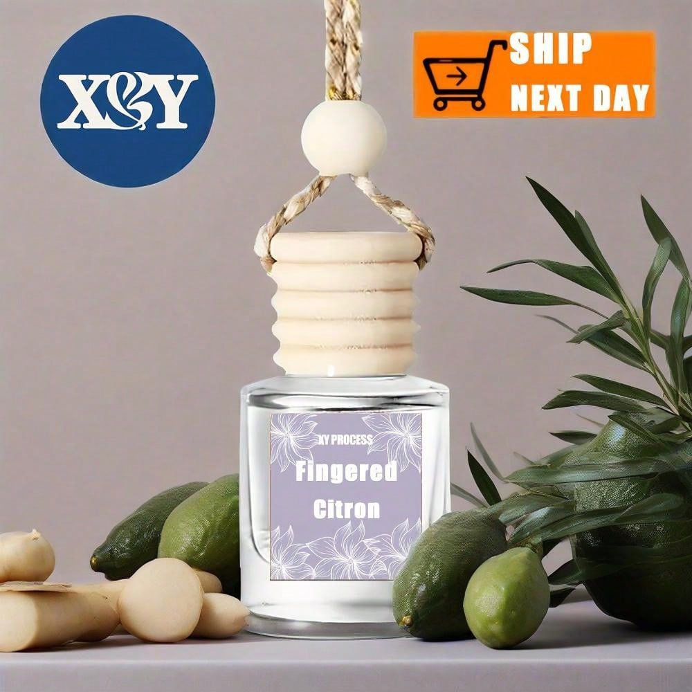 XY Process Car Air Freshener Hanging Diffuser Glass