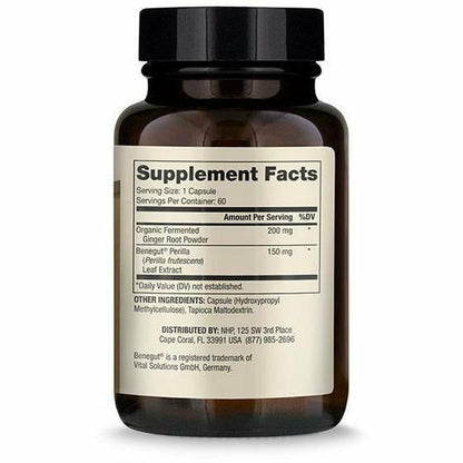 Dr. Mercola Fermented Ginger Digestive Support Supplement 60 Capsules - VitaBuy