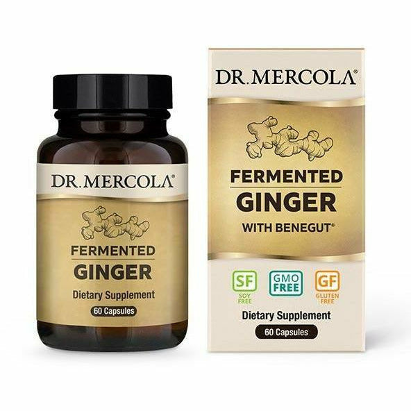 Dr. Mercola Fermented Ginger Digestive Support Supplement 60 Capsules - VitaBuy