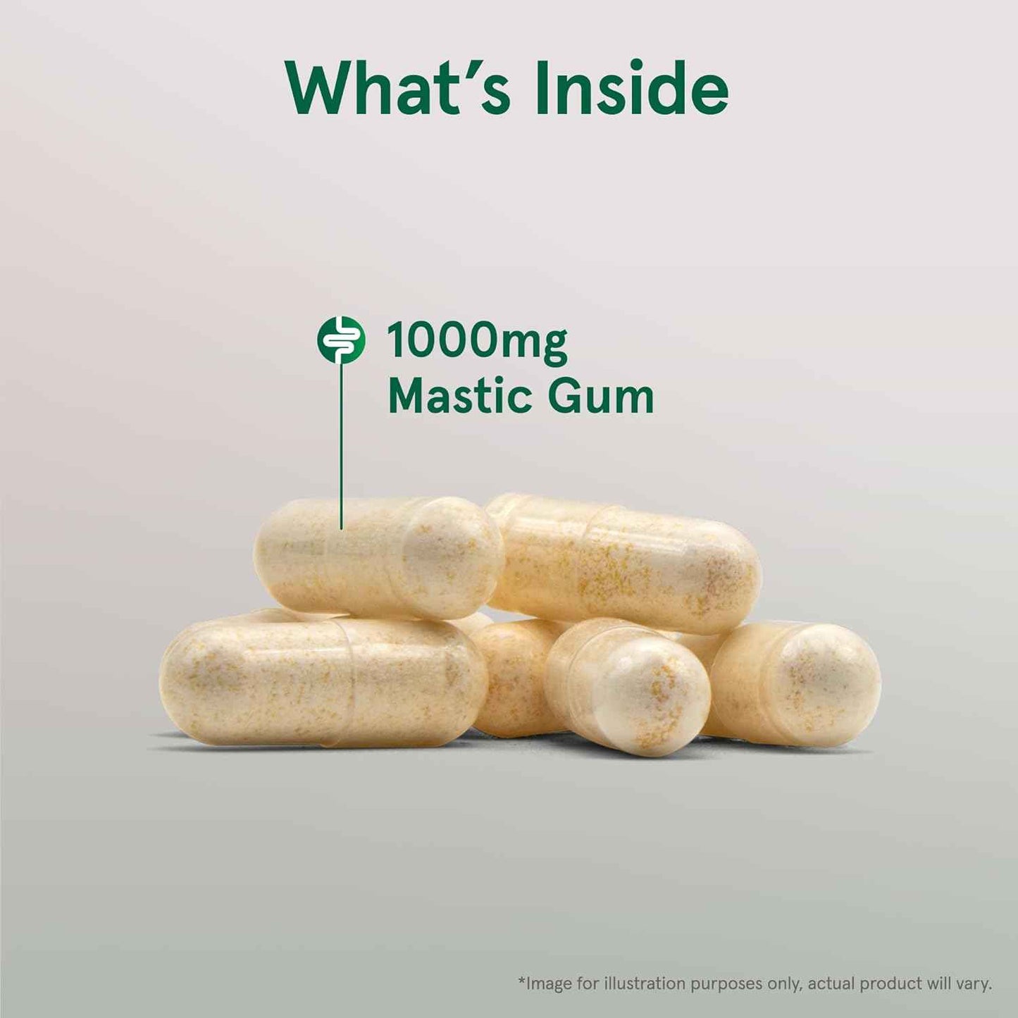 Jarrow Formulas Mastic Gum 1000 Mg Veggie Caps 60 Count