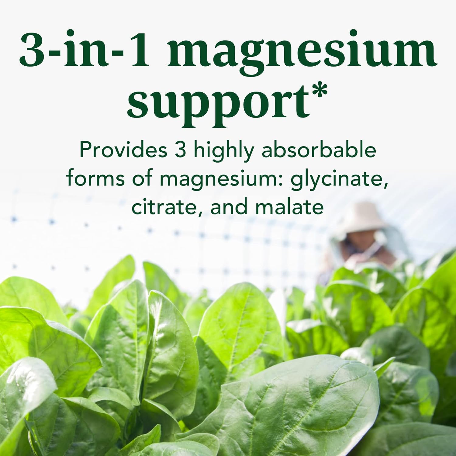 INNATE Response Formulas Magnesium Glycinate Citrate & Malate 300 mg Capsules 120 Count
