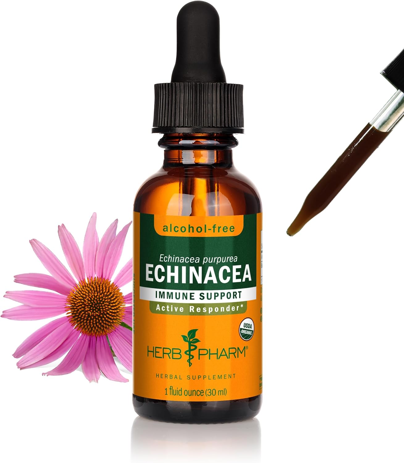 Herb Pharm Echinacea Alcohol-Free Glycerite Immune Support 1 fl oz