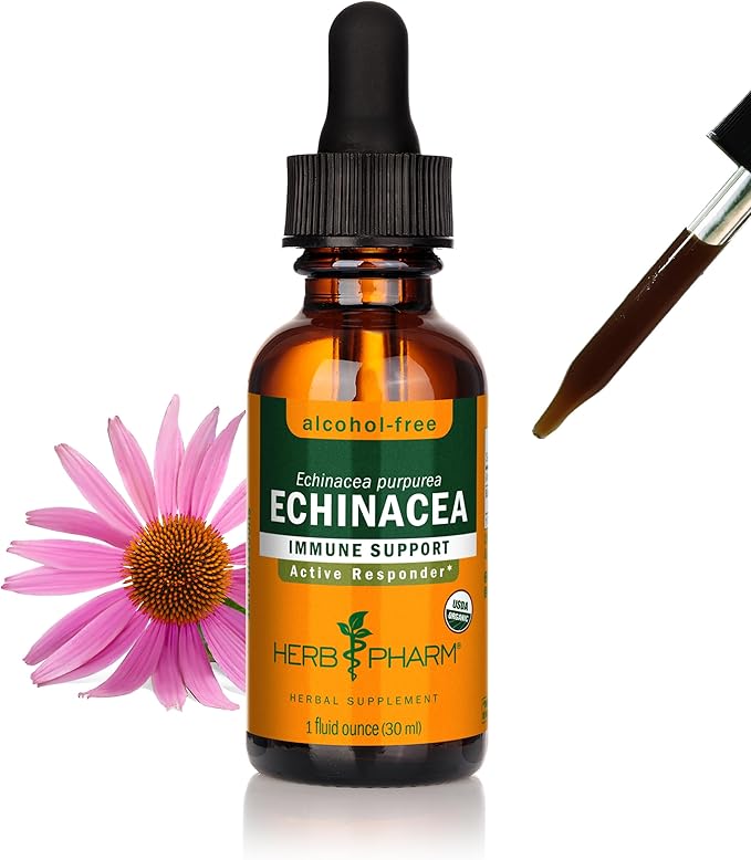 Herb Pharm Echinacea Alcohol-Free Glycerite Immune Support 1 fl oz