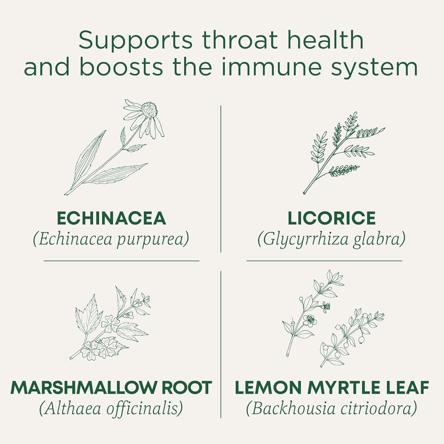Traditional Medicinals Throat Coat Organic Herbal Lozenges Sore Throat Relief