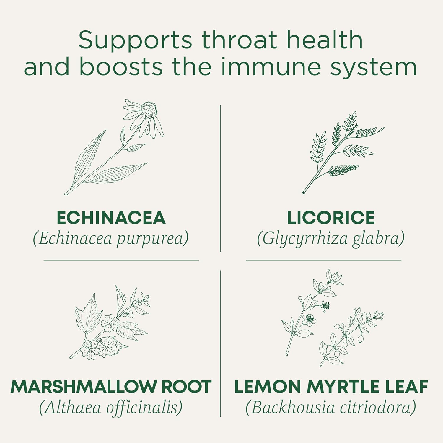 Traditional Medicinals Throat Coat Organic Herbal Lozenges Sore Throat Relief