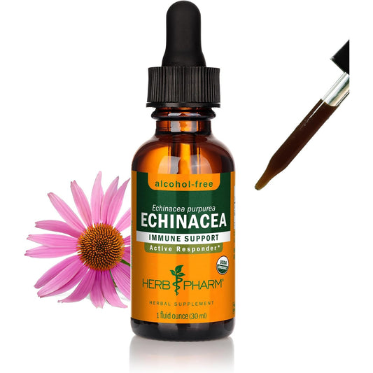 Herb Pharm Echinacea Alcohol-Free Glycerite Immune Supplement 1 Fl Oz