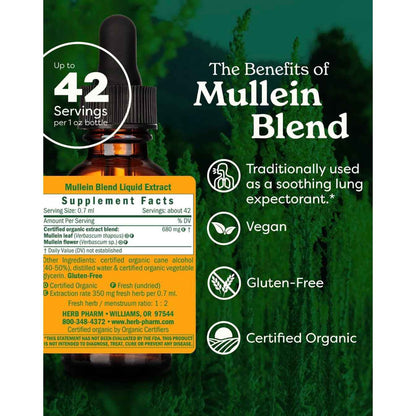 Herb Pharm Mullein Blend Herbal Supplement Certified Organic 1 fl oz