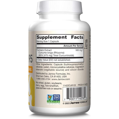Jarrow Formulas Curcumin 95 Turmeric Extract Supplement 500mg