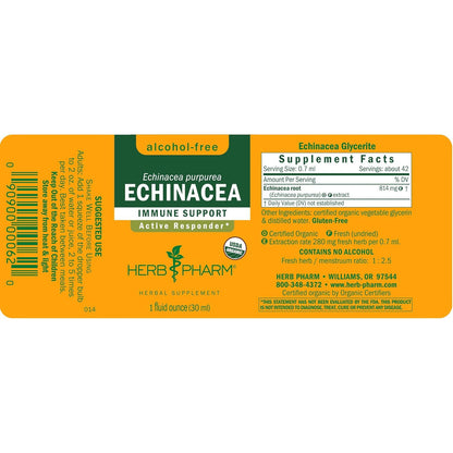Herb Pharm Echinacea Alcohol-Free Glycerite Immune Supplement 1 Fl Oz