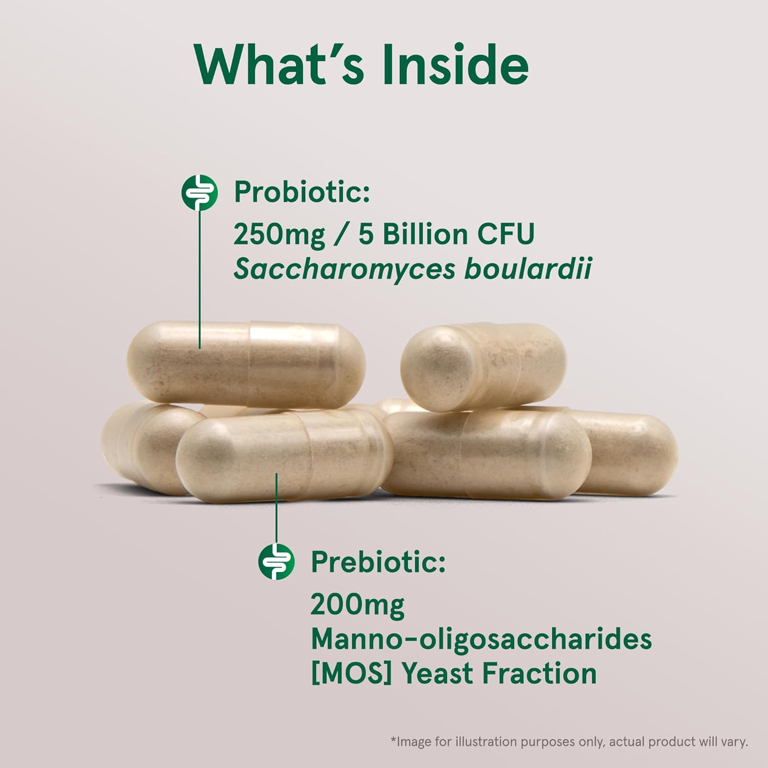 Jarrow Formulas Saccharomyces Boulardii + MOS Probiotics Supplement 5 Billion CFU