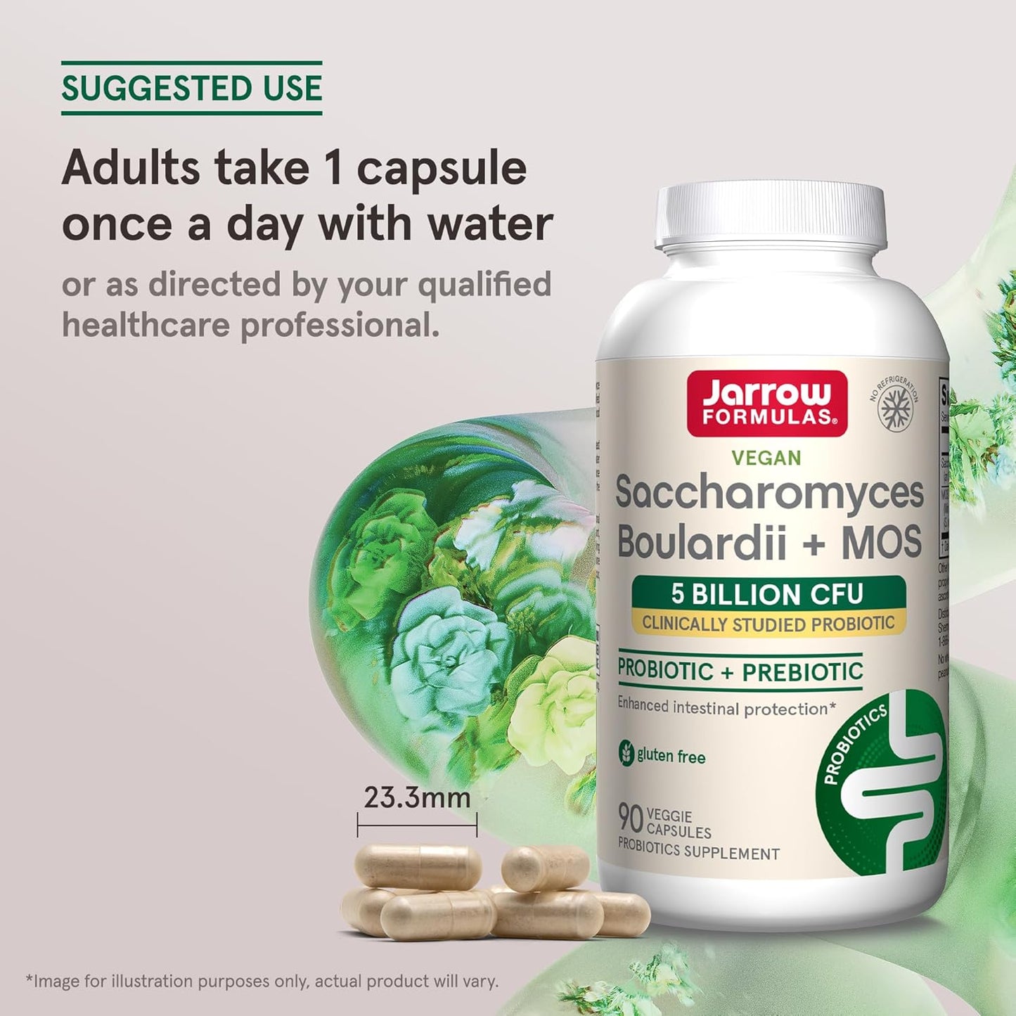 Jarrow Formulas Saccharomyces Boulardii + MOS Probiotic Capsules 5 Billion CFU