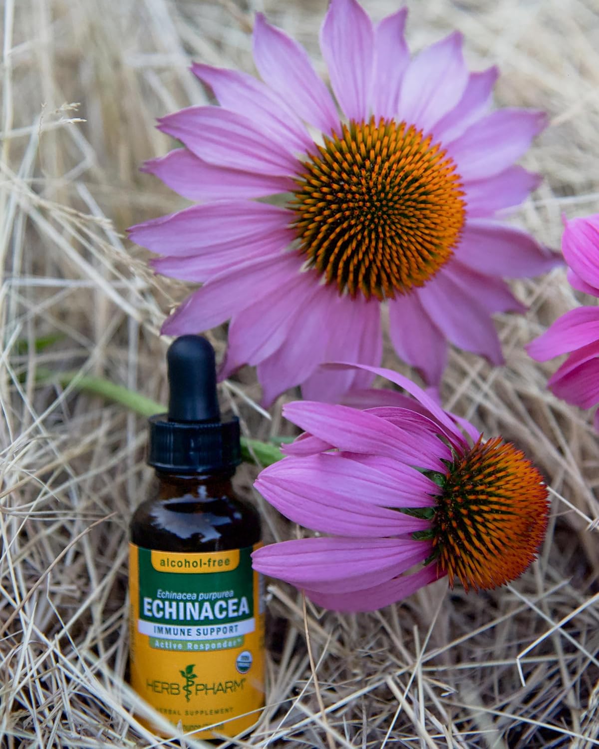 Herb Pharm Echinacea Alcohol-Free Glycerite Immune Support 1 fl oz
