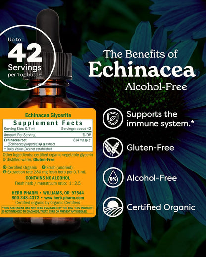 Herb Pharm Echinacea Alcohol-Free Glycerite Immune Support 1 fl oz