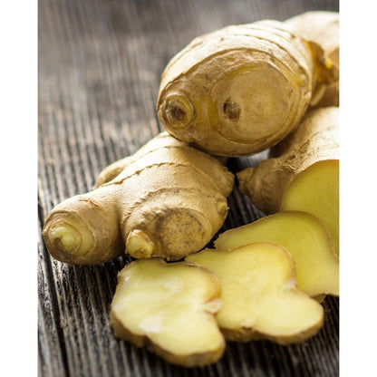 Herb Pharm Certified Organic Ginger Liquid Extract