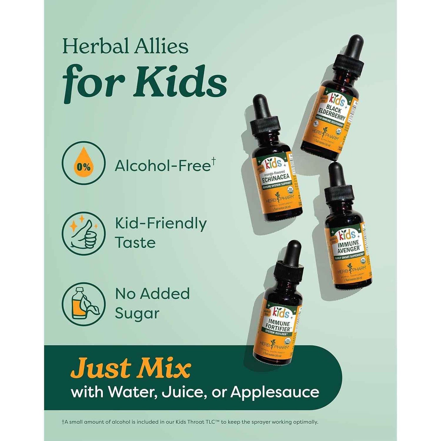 Herb Pharm Kids Mullein Garlic Ear Oil 1 oz
