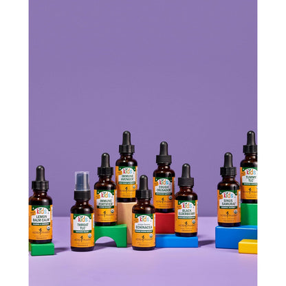 Herb Pharm Kids Mullein Garlic Ear Oil 1 oz