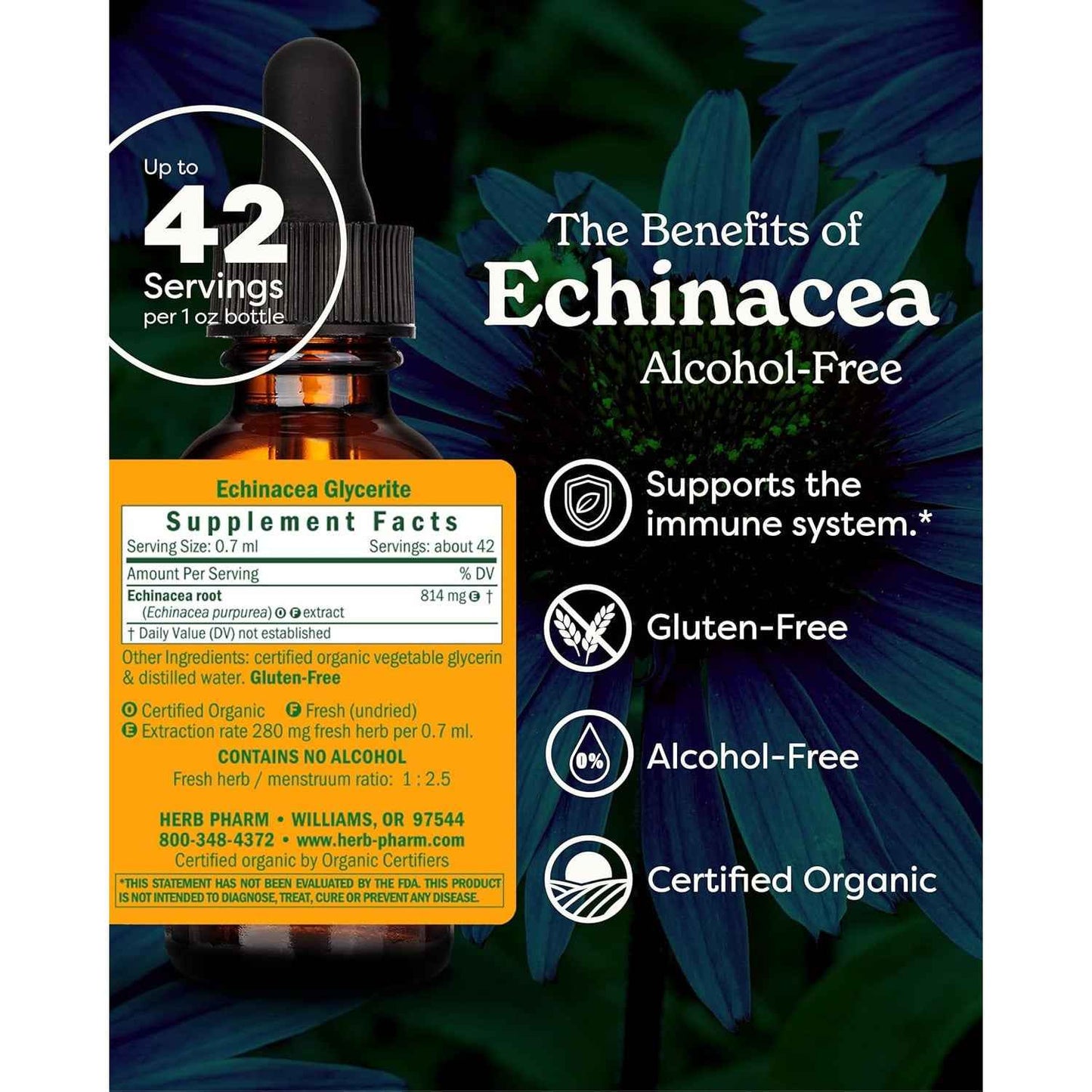 Herb Pharm Echinacea Alcohol-Free Glycerite Immune Support 1 fl oz