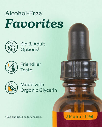 Herb Pharm Echinacea Alcohol-Free Glycerite Immune Support 1 fl oz