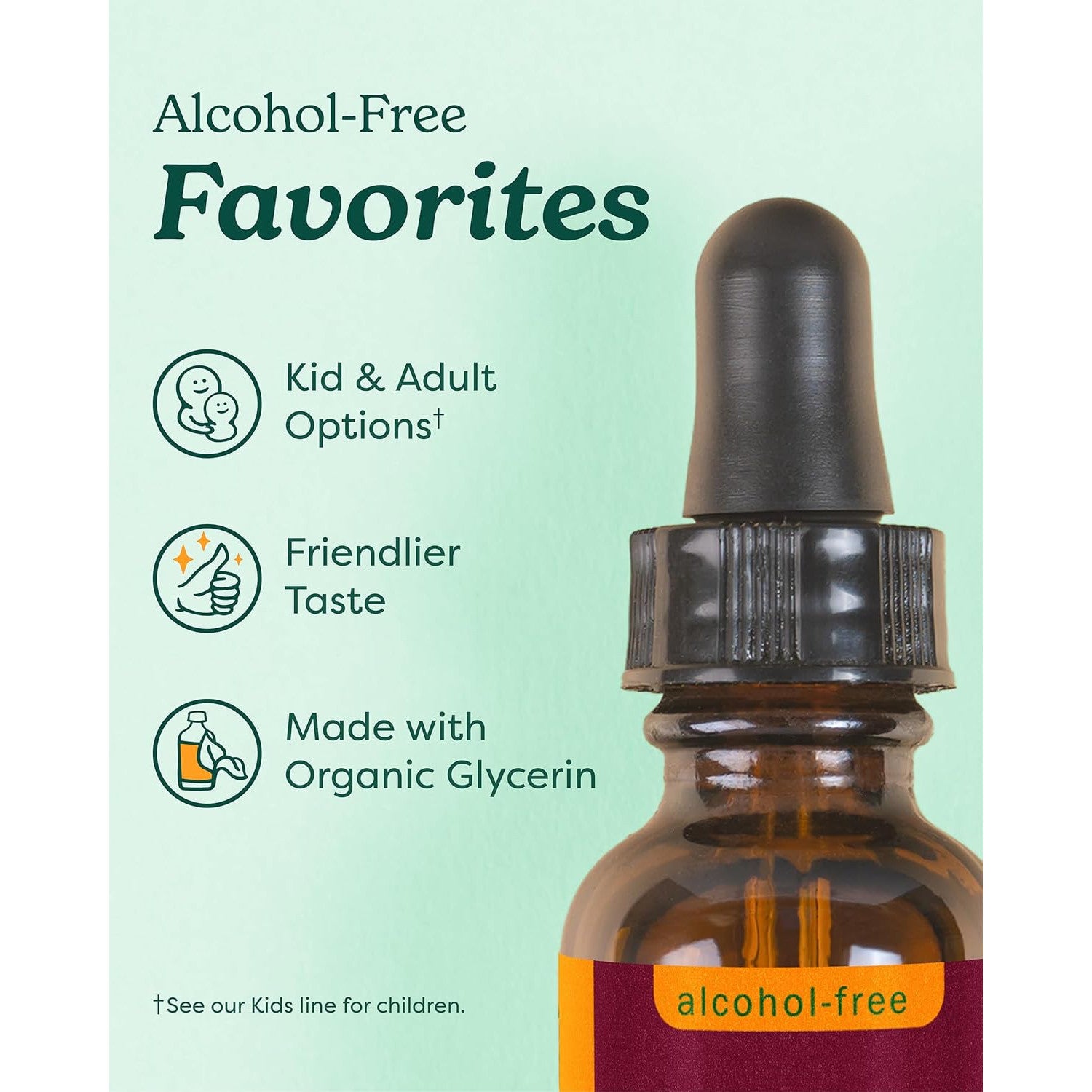 Herb Pharm Organic Ashwagandha Liquid Extract Alcohol-Free Adaptogen