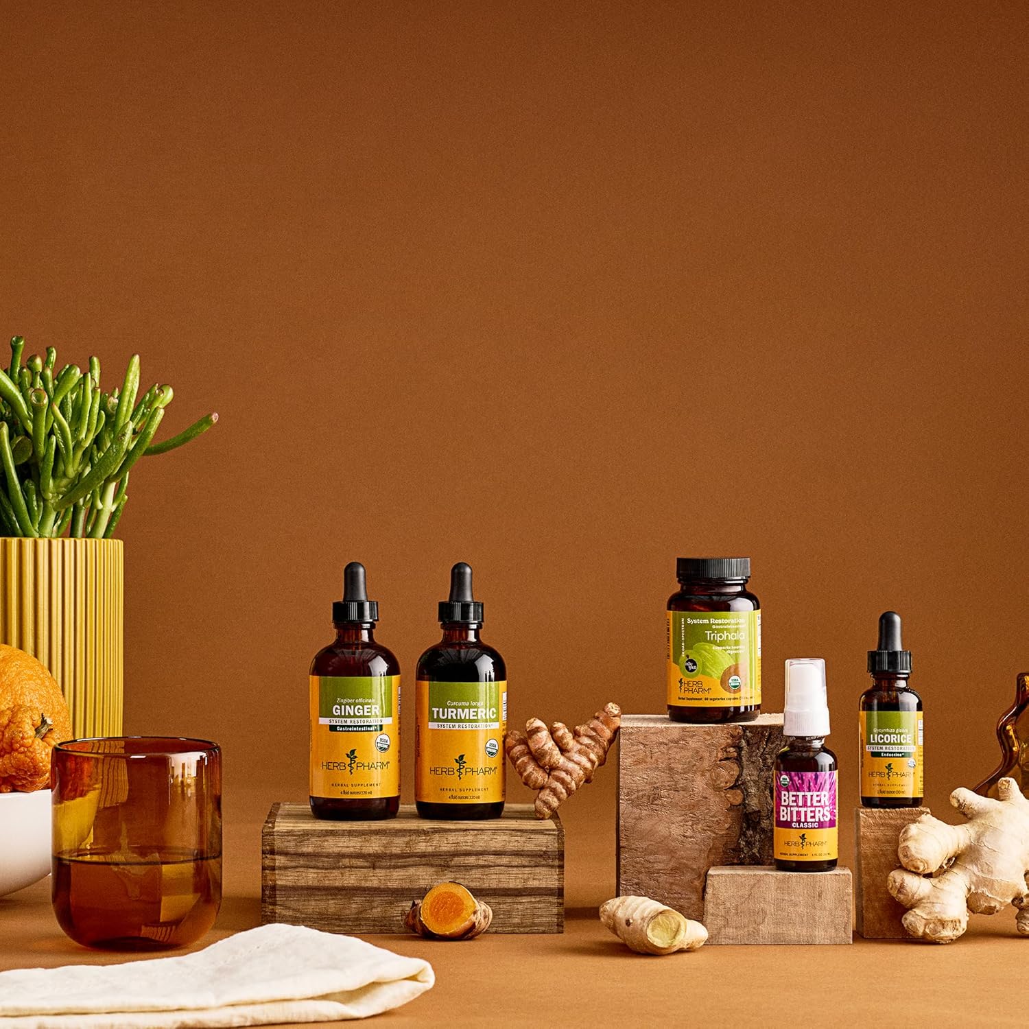 Herb Pharm Certified Organic Ginger Liquid Extract