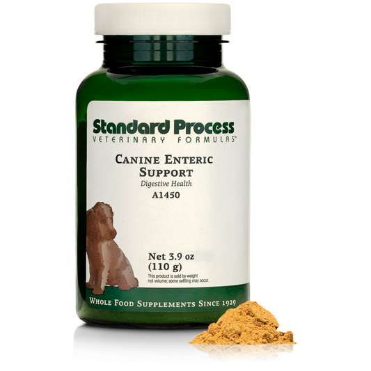 Standard Process Canine Enteric Support Digestive Supplement Powder 3.9 oz