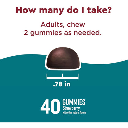 Nature Made Wellblends Stress Relief Strawberry Gummies 40 Count