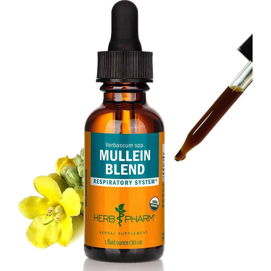 Herb Pharm Mullein Blend Respiratory Support Liquid