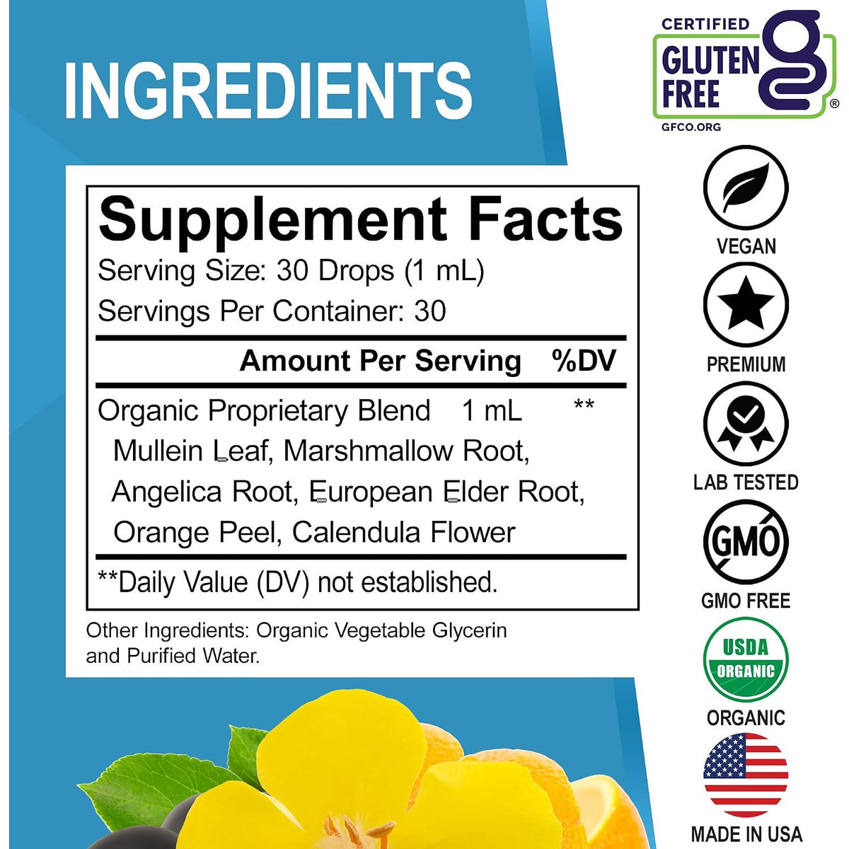 DR. BO Organic Mullein Drops Lung Detox Respiratory Support Liquid