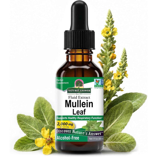Nature's Answer Mullein Leaf Respiratory Support Liquid Drops