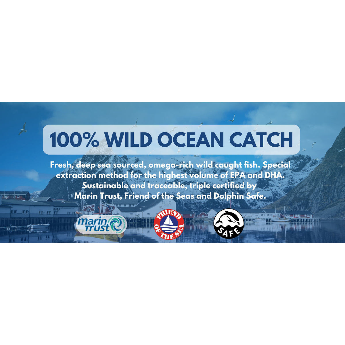 Arazo Nutrition Wild Caught Omega-3 Fish Oil Softgels with 4080mg EPA DHA, lemon flavor, 120 count, dietary supplement.