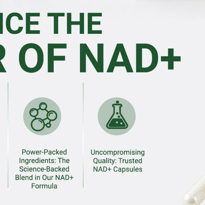 Ncduyde Liposomal NAD+ Supplement Nicotinamide Riboside Resveratrol 1500 mg