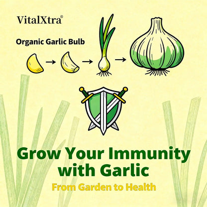 VitalXtra Organic Garlic Capsules 30-120 Count Immune Digestive Support