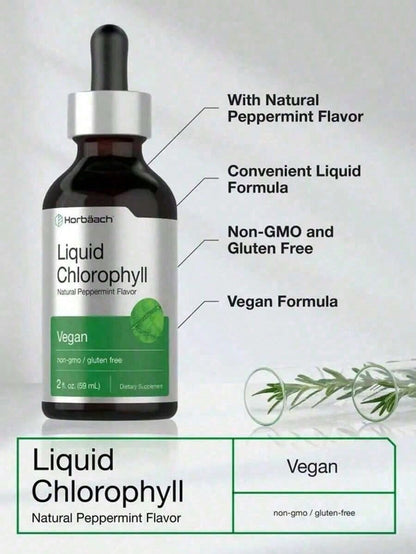 Horbäach Liquid Chlorophyll Peppermint Dietary Supplement Drops