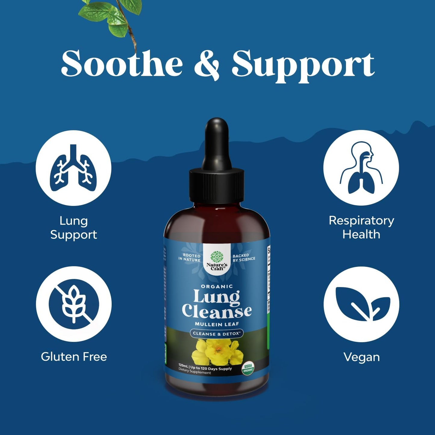 Natures Craft Organic Mullein Drops Respiratory Support Liquid