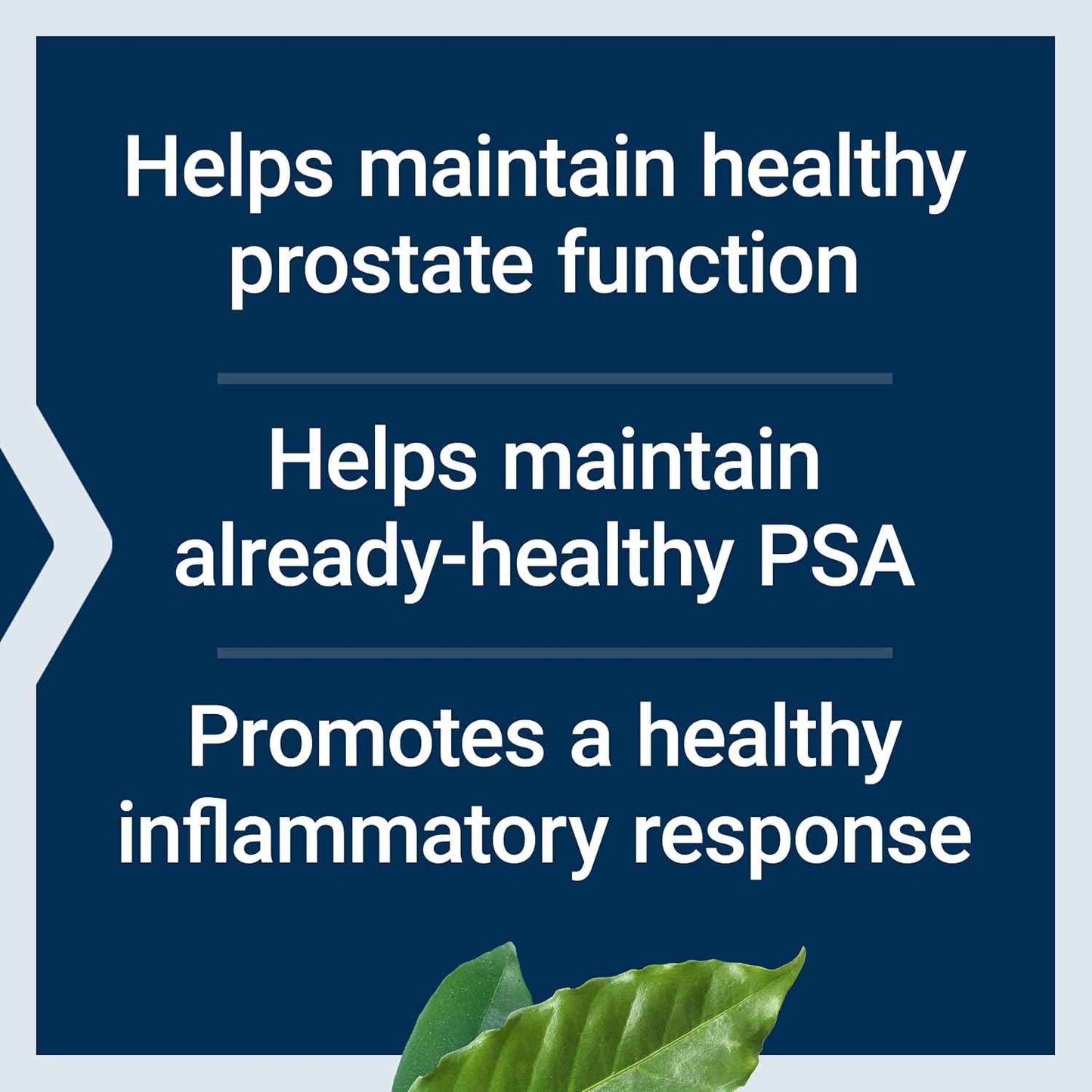 Life Extension Ultra Prostate Formula Saw Palmetto Supplement 60 Count