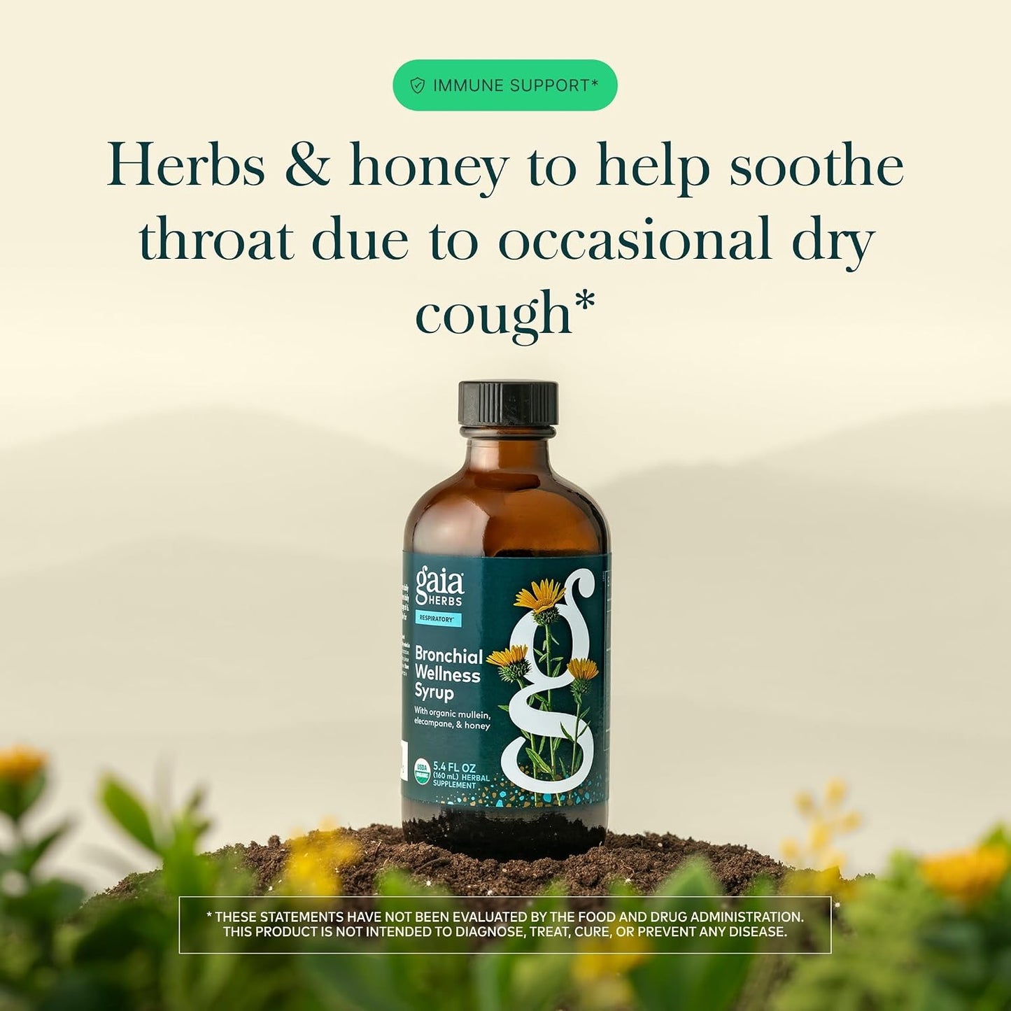 Gaia Herbs Bronchial Wellness Respiratory Support Syrup