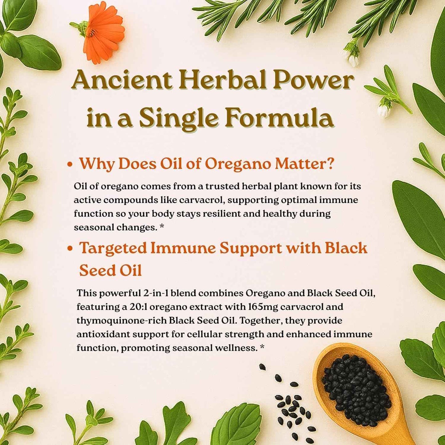 Micro Ingredients Oregano and Black Seed Oil Softgels 4X Strength