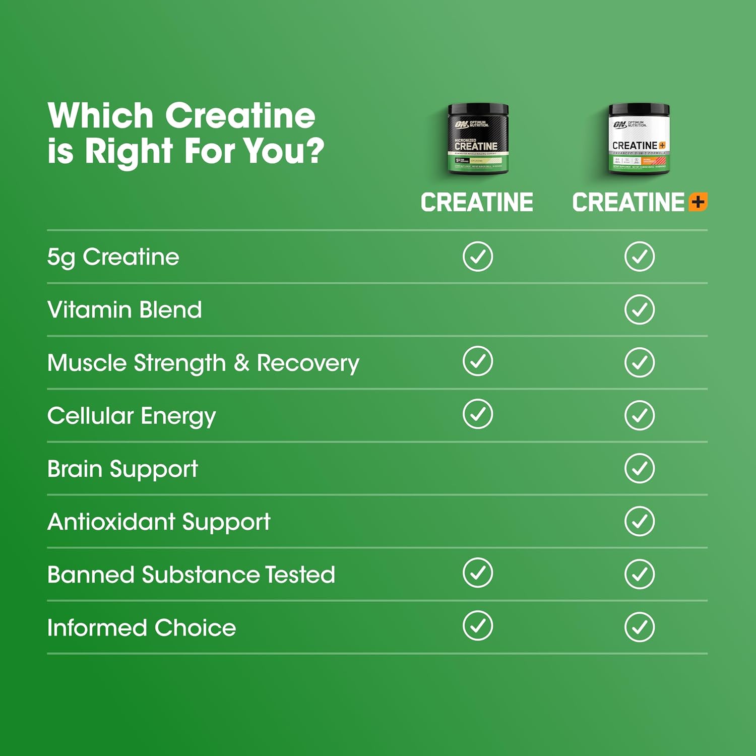 Optimum Nutrition Micronized Creatine Monohydrate Powder 5g Per Serving 120 Servings