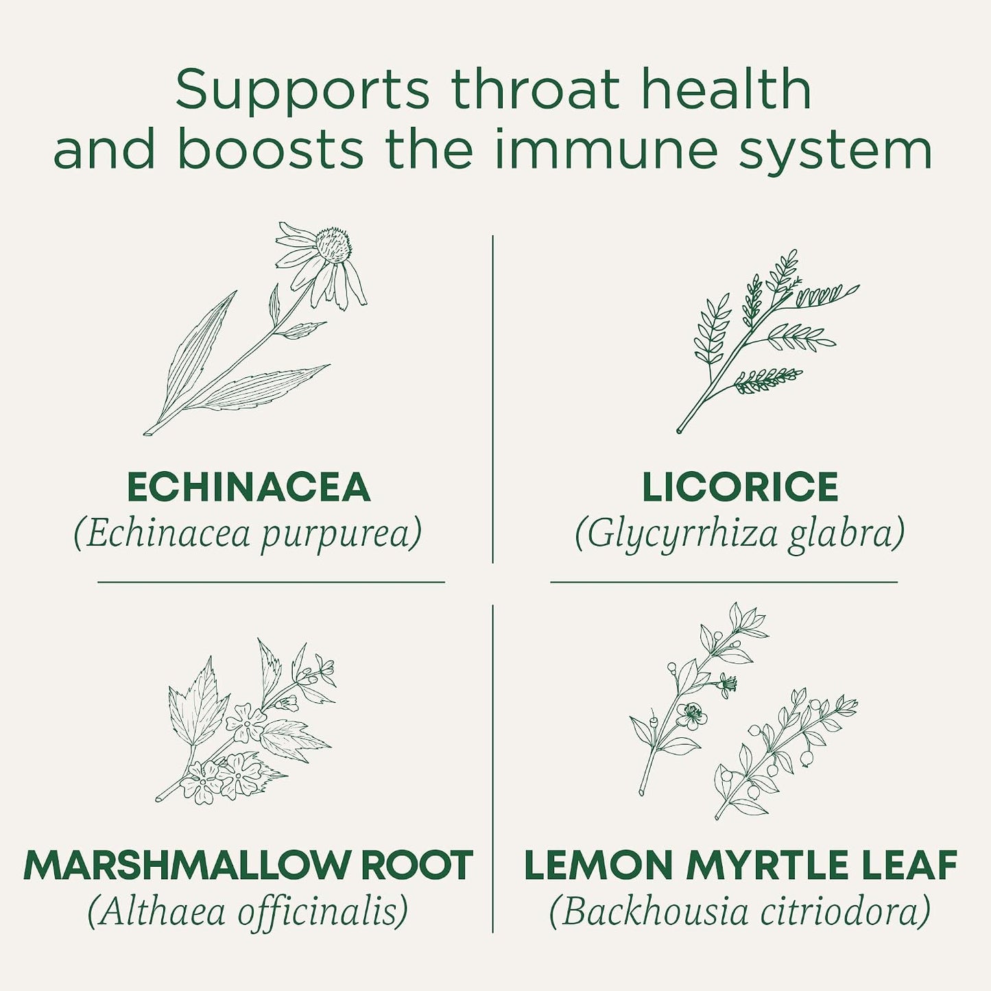 Traditional Medicinals Throat Coat Lemon Ginger Respiratory Support Lozenges