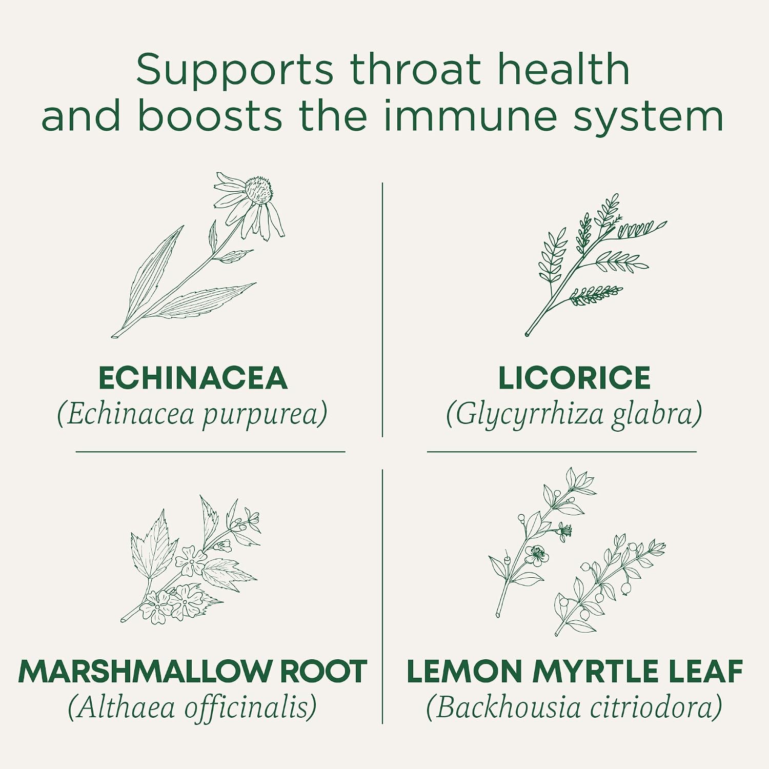Traditional Medicinals Throat Coat Lemon Ginger Respiratory Support Lozenges