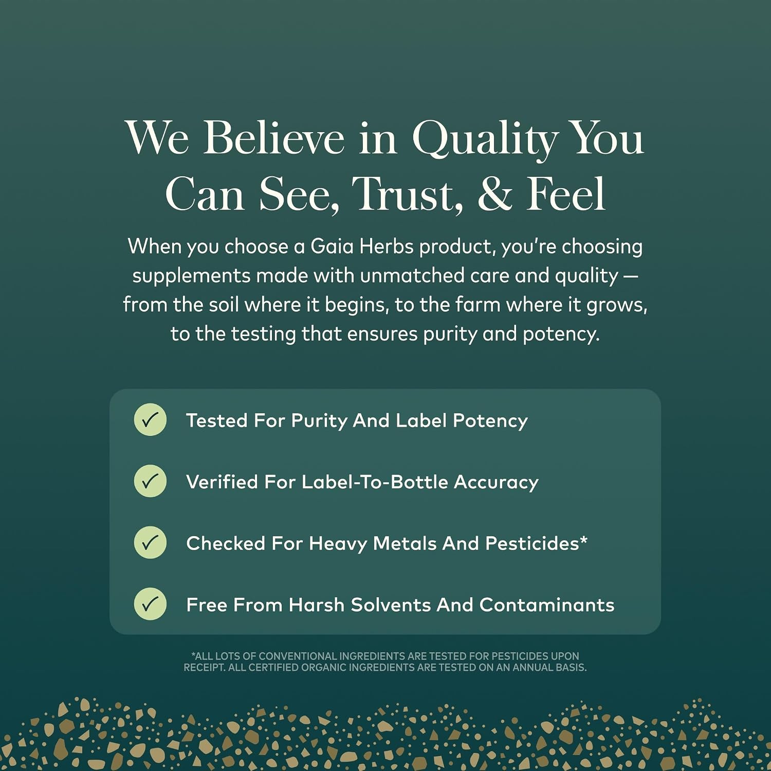 Gaia Herbs Sinus & Lung Supreme Respiratory Support Capsules