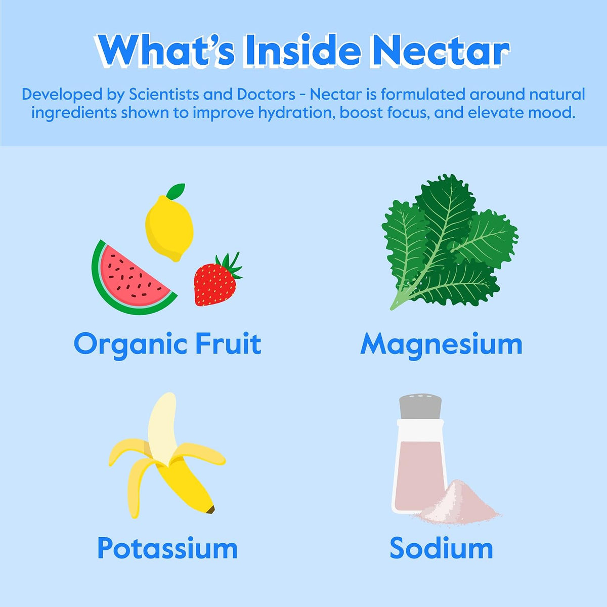 Nectar Daily Hydration Electrolytes Powder 30 Count