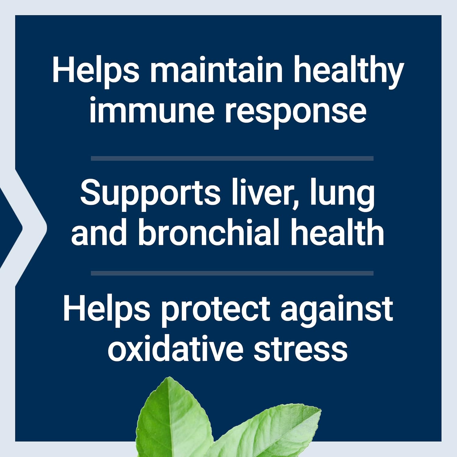 Life Extension NAC Immune Respiratory Liver Support Formula Capsules