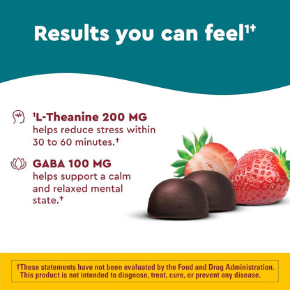 Nature Made Wellblends Stress Relief Strawberry Gummies 40 Count