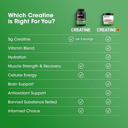 Optimum Nutrition Micronized Creatine Monohydrate Capsules 2.5g Per Serving 50 Servings